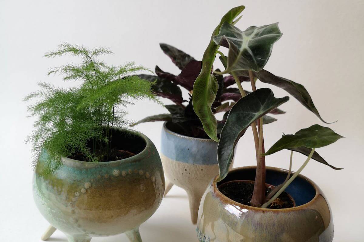 Warsztaty ceramiczne ceramika pracownia ceramiczna Ochra