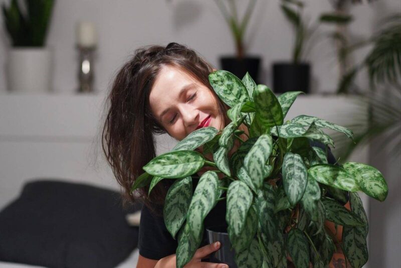 warsztaty roslinne auris garden profilowe