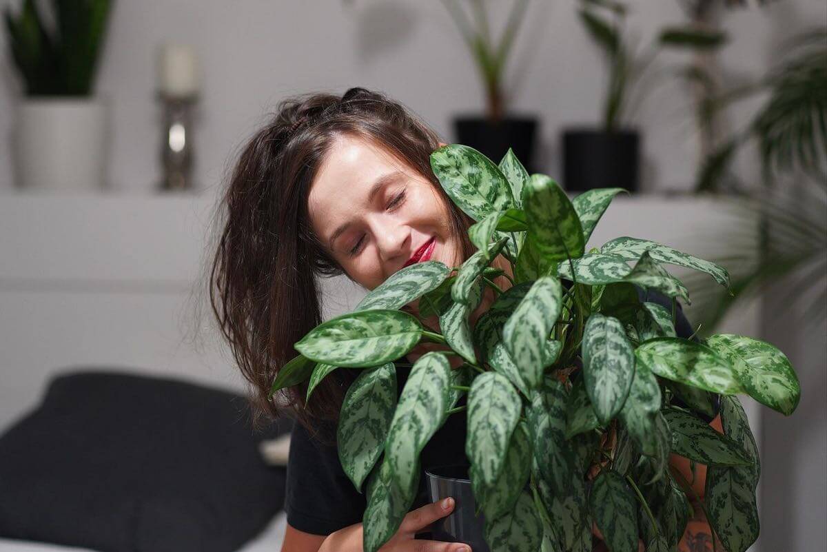 warsztaty roslinne auris garden profilowe